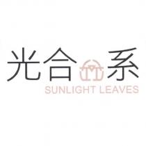 光合系 SUNLIGHT LEAVES