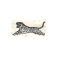 TIGER DEVICE 虎標