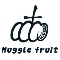 麻瓜果實 Muggle fruit 及圖