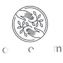 oem 及圖