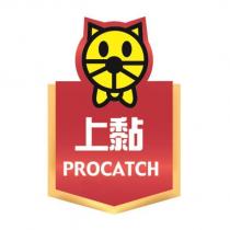 上黏 PROCATCH 及圖