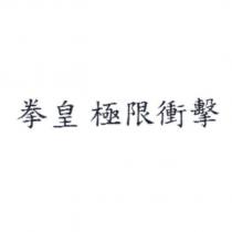 拳皇 極限衝擊