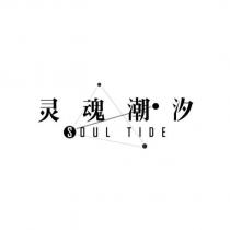 靈魂潮汐SOUL TIDE 及圖