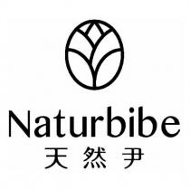 Naturbibe 天然尹設計圖