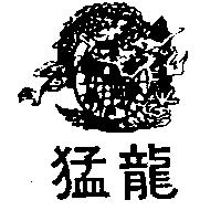 猛龍及圖