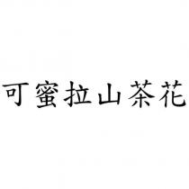可蜜拉山茶花