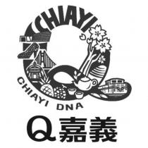 Q 嘉義 CHIAYI CHIAYI DNA 及圖
