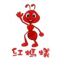 紅螞蟻 及圖
