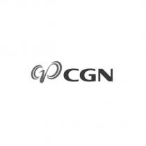 CGN 及圖