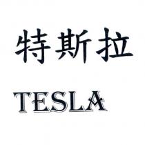 特斯拉 Tesla