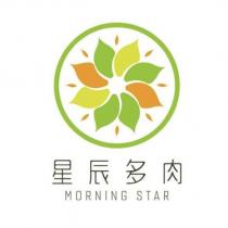 星辰多肉 MORNING STAR 及圖