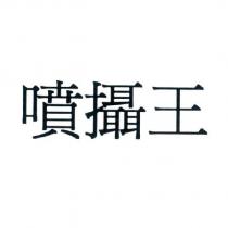 噴攝王