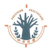 精準照護 PRECISION HEALTHCARE 及圖