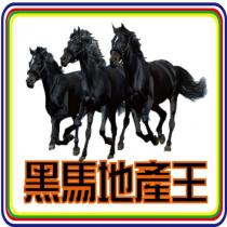 黑馬地產王及圖