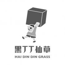 黑丁丁仙草 HAI DIN DIN GRASS 及圖