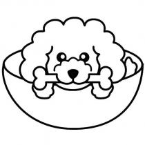 犬設計圖