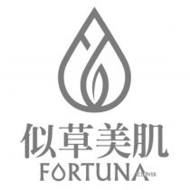 似草美肌 FORTUNA CLOVER 及圖