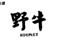 野牛 KOUPREY 