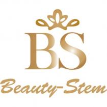 BS Beauty Stem 及圖