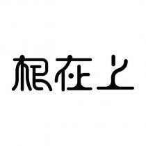 根在上