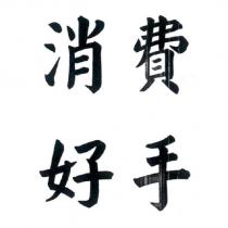 消費好手