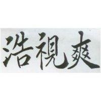 浩視爽