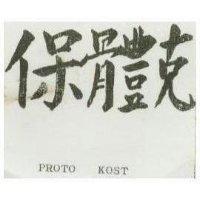 保體克 PROTO KOST