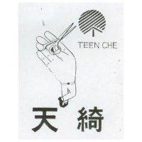 天綺及圖 TEEN CHE 