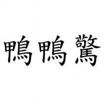 鴨鴨驚