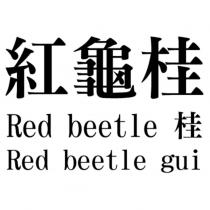 紅龜桂 Red beetle 桂 Red beetle gui