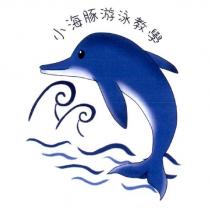 小海豚游泳教學及圖