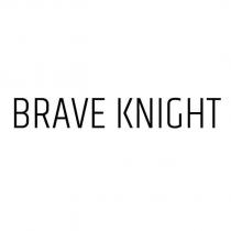 BRAVE KNIGHT