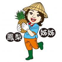 鳳梨姊姊及圖