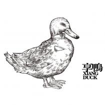 享鴨 XIANG DUCK 及圖