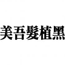 美吾髮植黑