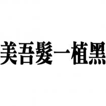 美吾髮一植黑