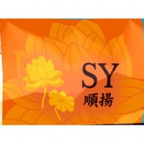 SY 順揚設計圖