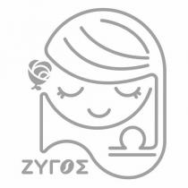 ZYGOS 與圖