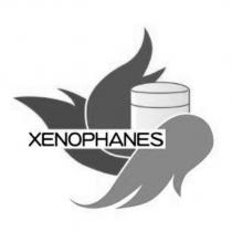 XENOPHANES 及圖