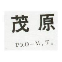 茂原 PRO M └ T └ 