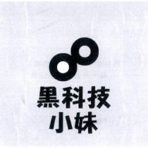 黑科技小妹及圖