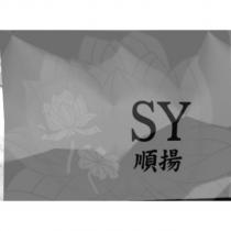 SY 順揚設計圖