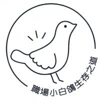 職場小白鴿生存之道及圖