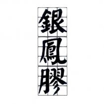 銀鳳膠及圖