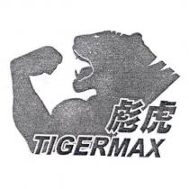 彪虎 TIGERMAX 及圖
