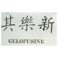 其樂新 GELOFUSINE 