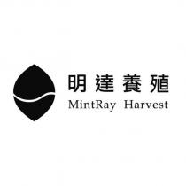 明達養殖 MintRay Harvest 及圖