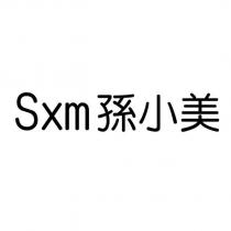 Sxm 孫小美