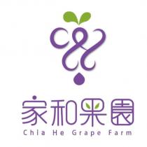家和果園 CHIA HE GRAPE FARM 及圖