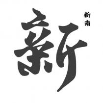 新新南